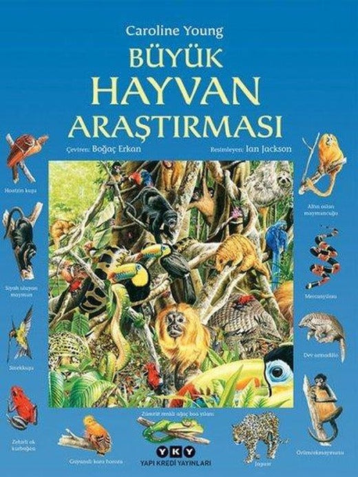 Büyük Hayvan Araştırması | Yapı Kredi Yayınları (İnce Kapak)