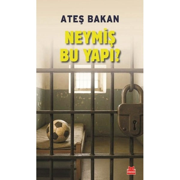 Neymiş Bu Yapı? | Kırmızı Kedi (İnce Kapak)