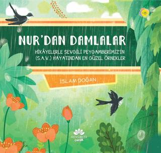 Nur’dan Damlalar