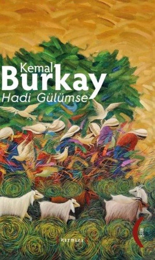 Hadi Gülümse | Kırmızı Yayınları - Şiir Dizisi (Ciltli)