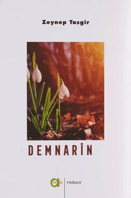 Demnarin | Aram Yayınları (Ciltsiz)