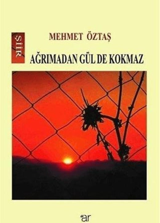 Ağrımadan Gül De Kokmaz