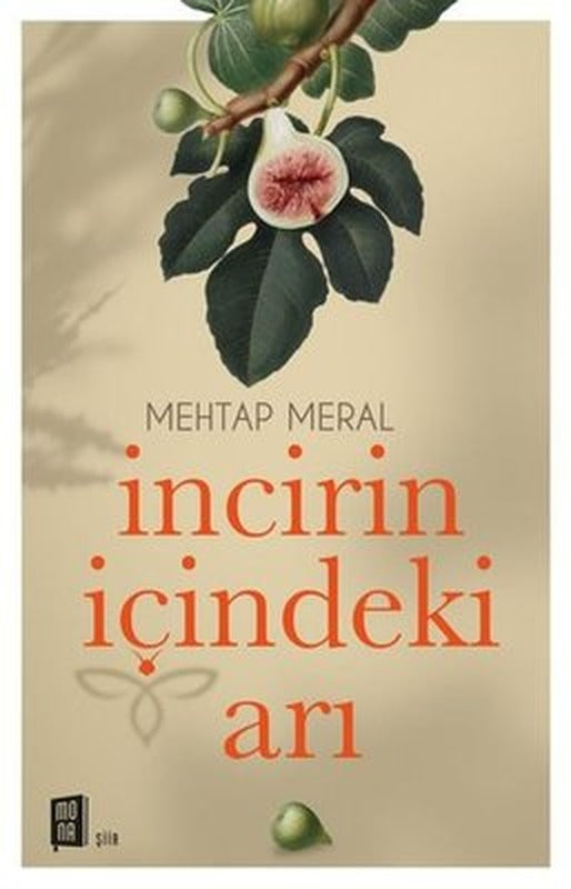 İncirin İçindeki Arı | Mona (İnce Kapak)