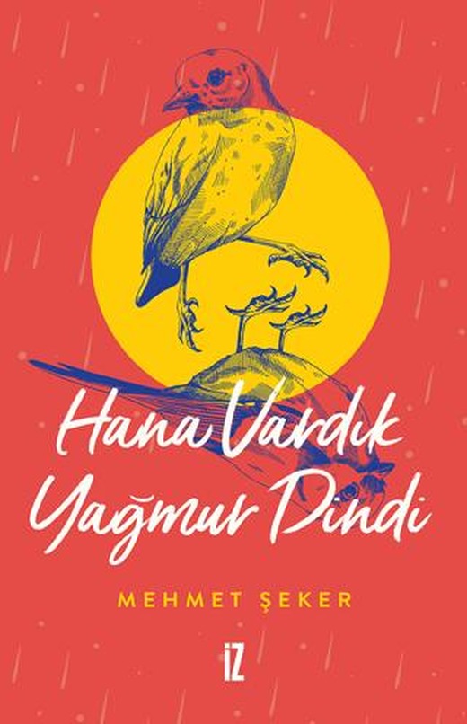 Hana Vardık Yağmur Dindi | İz Yayıncılık (Ciltsiz)