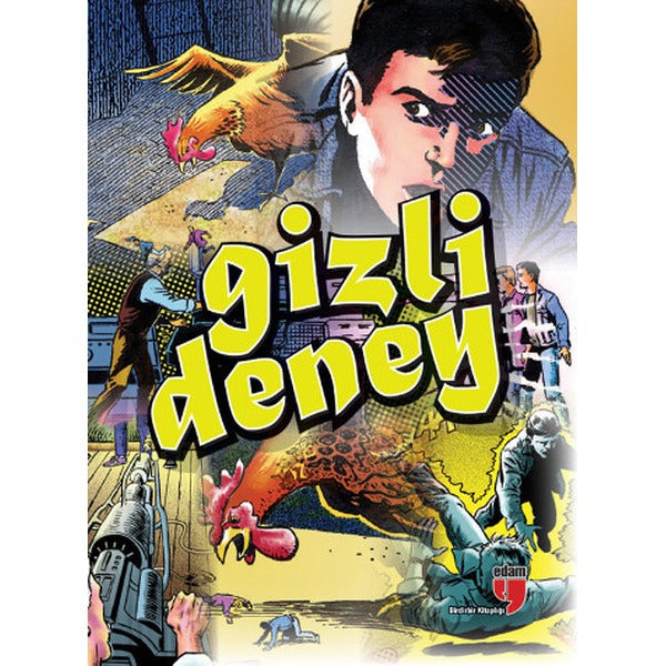Gizli Deney