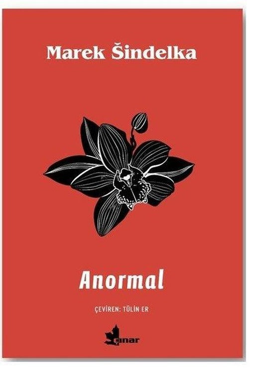 Anormal | Çınar Yayınları (İnce Kapak)