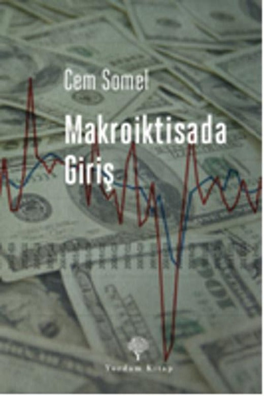 Makroiktisada Giriş | Yordam Kitap - Ekonomi Dizisi (e-Kitap)