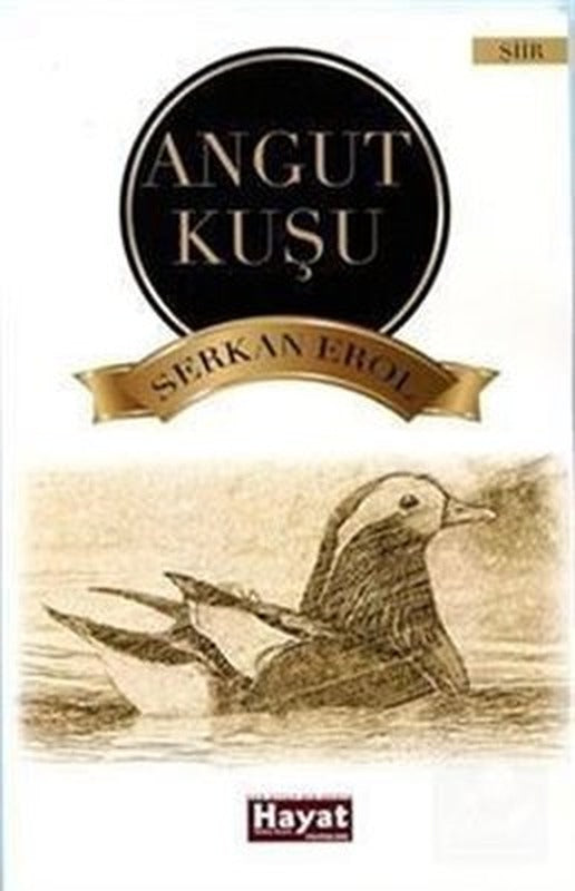 Angut Kuşu | Hayat Özlem Kayalı Yayınları