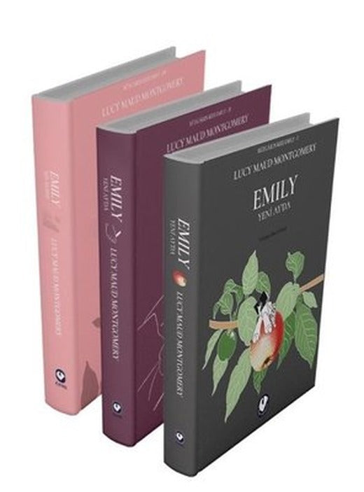 Rüzgarın Kızı Emily Serisi Seti - 3 Kitap Takım | Cem Yayınevi