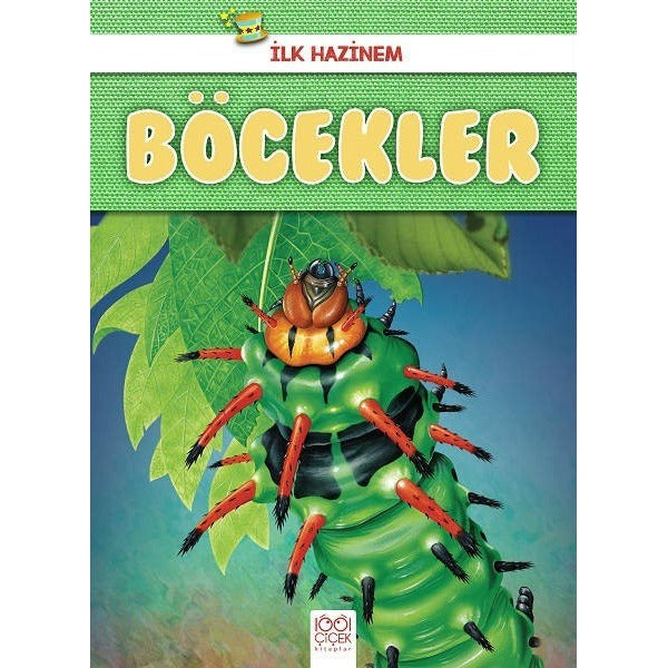 Böcekler - İlk Hazinem