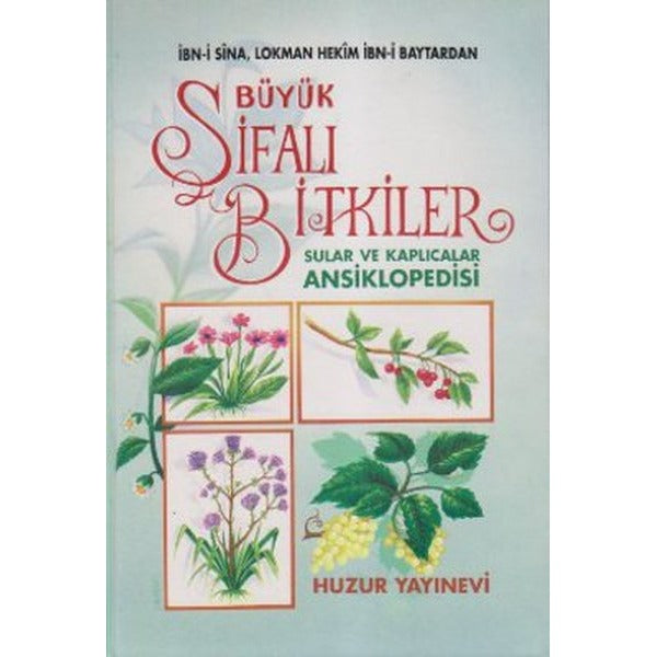 Büyük Şifalı Bitkiler Sular ve Kaplıcalar Ansiklopedisi (1. Hamur)