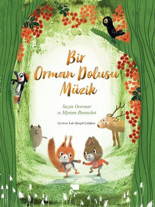 Bir Orman Dolusu Müzik | Hayalkurdu Yayınları (İnce Kapak)