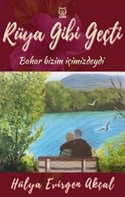 Rüya Gibi Geçti | Luna Yayınları