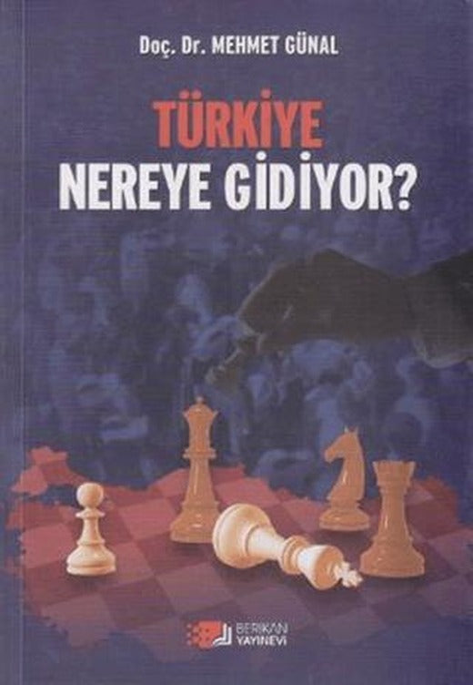 Türkiye Nereye Gidiyor? | Berikan Yayınevi (Ciltsiz)