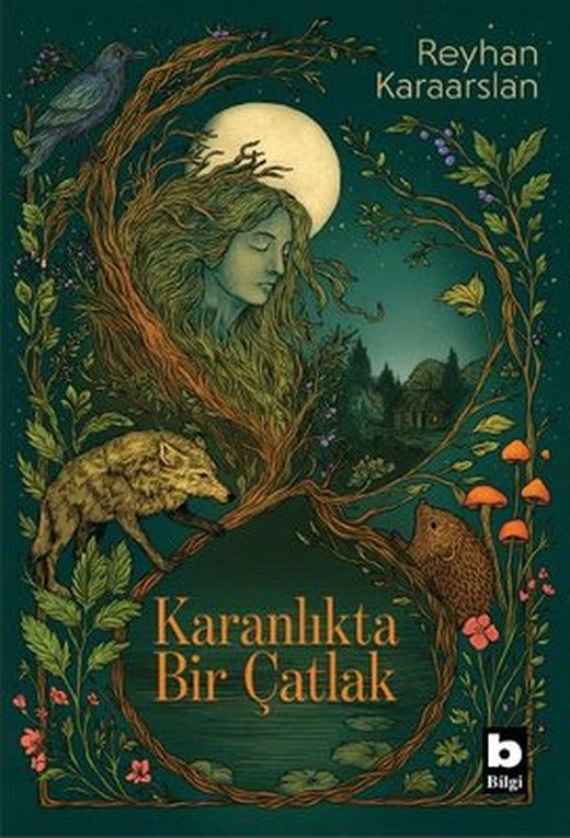 Karanlıkta Bir Çatlak | Bilgi Yayınevi (İnce Kapak)