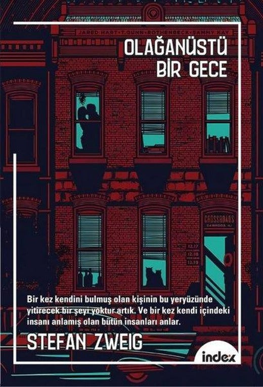 Olağanüstü Bir Gece | İndex Yayınları (İnce Kapak)