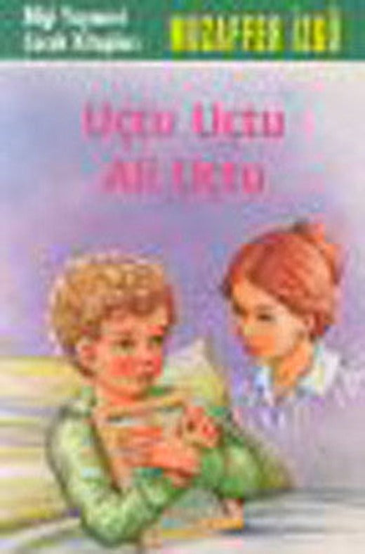 Uçtu Uçtu Ali Uçtu | Bilgi Yayınevi