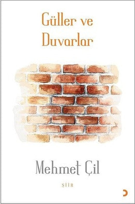 Güller ve Duvarlar | Cinius