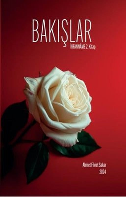 Bakışlar - İrfanname 2. Kitap | Zinde Yayınevi (İnce Kapak)
