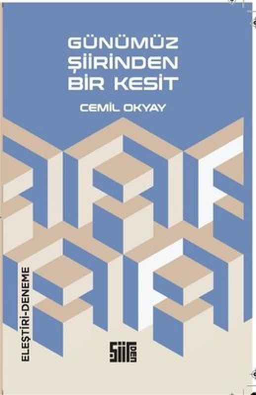 Günümüz Şiirinden Bir Kesit | Şiirden Yayınları (İnce Kapak)
