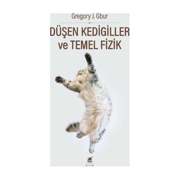 Düşen Kedigiller ve Temel Fizik | Ayrıntı Yayınları (İnce Kapak )