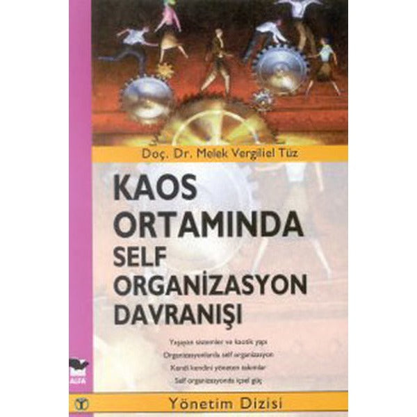 Kaos Ortamında Self Organizasyon Davranışı