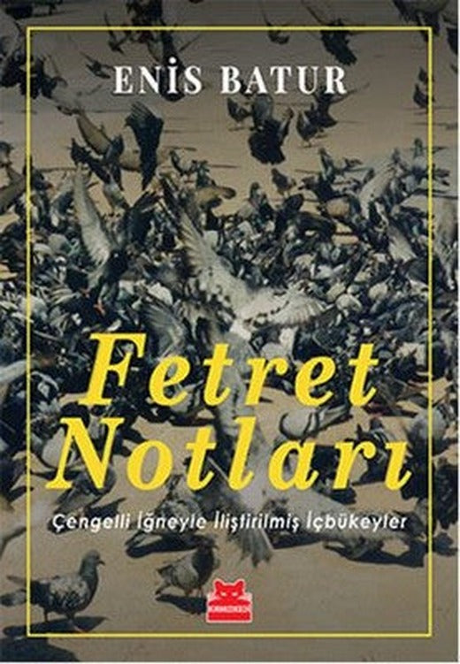Fetret Notları | Kırmızı Kedi