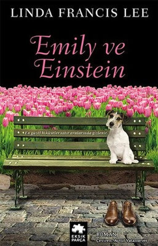 Emily ve Einstein | Eksik Parça