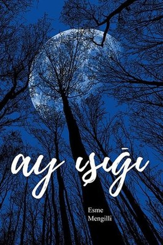 Ay Işığı | Ritim Sanat Yayınları