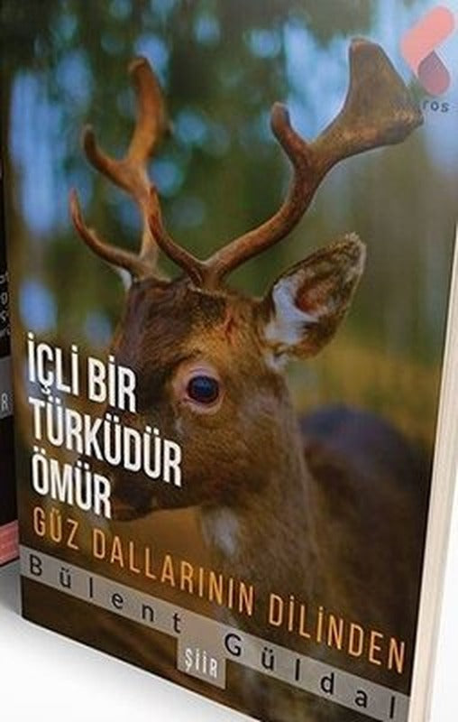 İçli Bir Türküdür Ömür-Güz Dallarının Dilinden | Klaros Yayınları