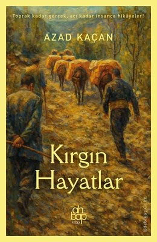 Kırgın Hayatlar | Ahbap Kitap (İnce Kapak)
