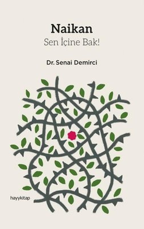 Naikan-Sen İçine Bak! | Hayy Kitap