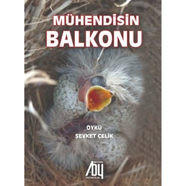 Mühendisin Balkonu | Baygenç Yayıncılık