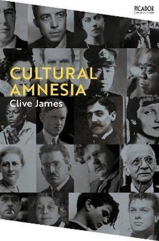 Cultural Amnesia: Notes in the Margin of My Time (Picador Collection 16) | Picador (İnce Kapak)