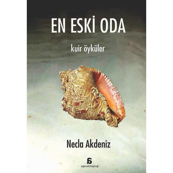En Eski Oda - Kuir Öyküler | Agora Kitaplığı (İnce Kapak)