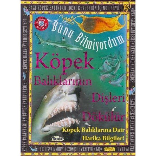 Bunu Bilmiyordum - Köpek Balıklarının Dişleri Dökülür