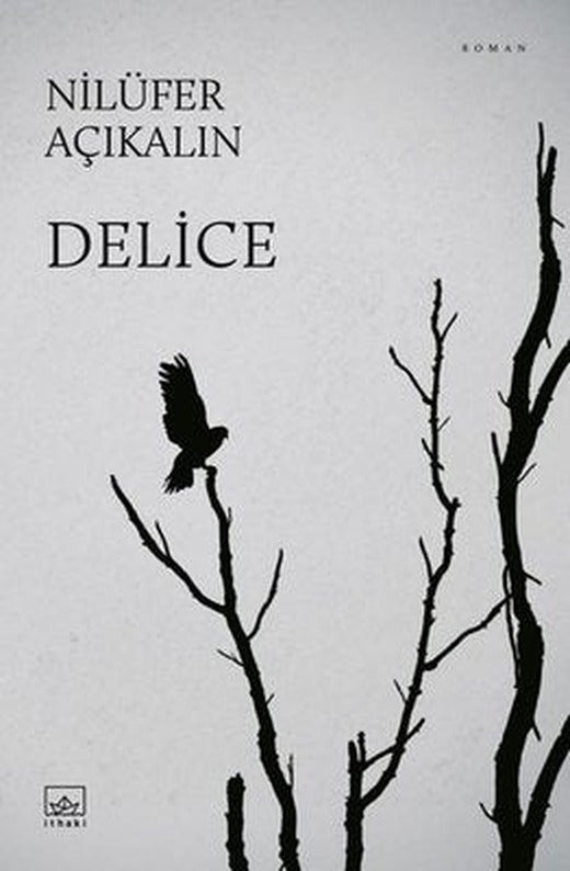 Delice |İthaki Yayınları (İnce Kapak)