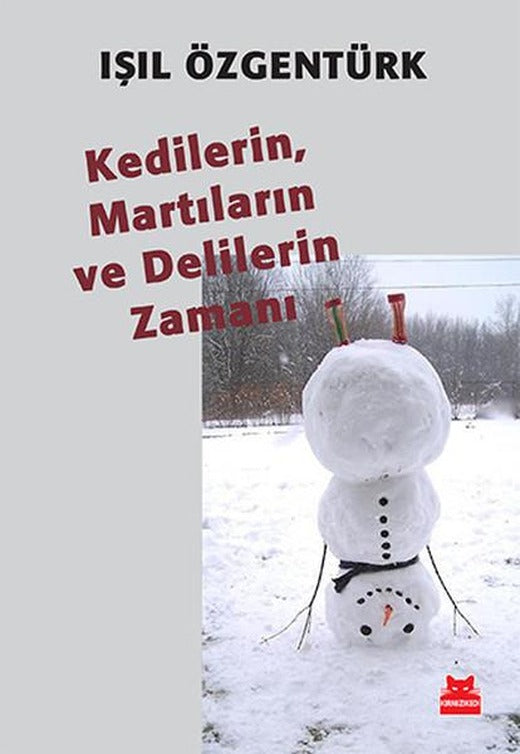 Kedilerin Martıların ve Delilerin Zamanı | Kırmızı Kedi (İnce Kapak)