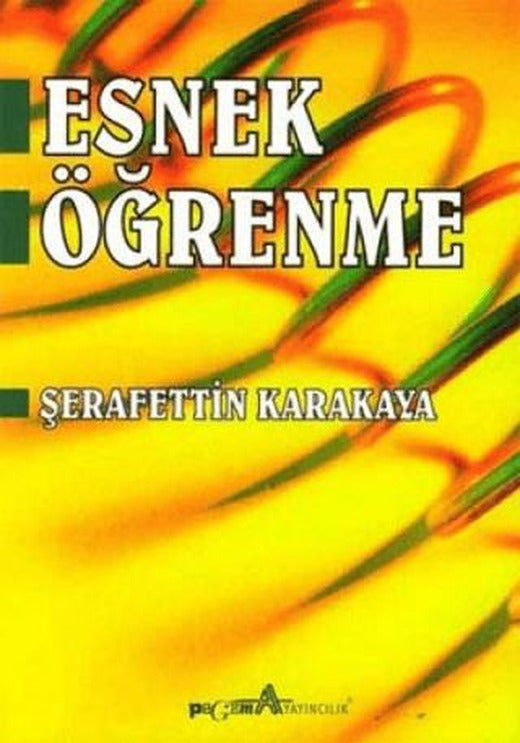 Esnek Öğrenme
