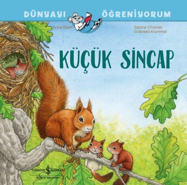 Küçük Sincap - Dünyayı Öğreniyorum | İş Bankası Kültür Yayınları (İnce Kapak) - Resim 1
