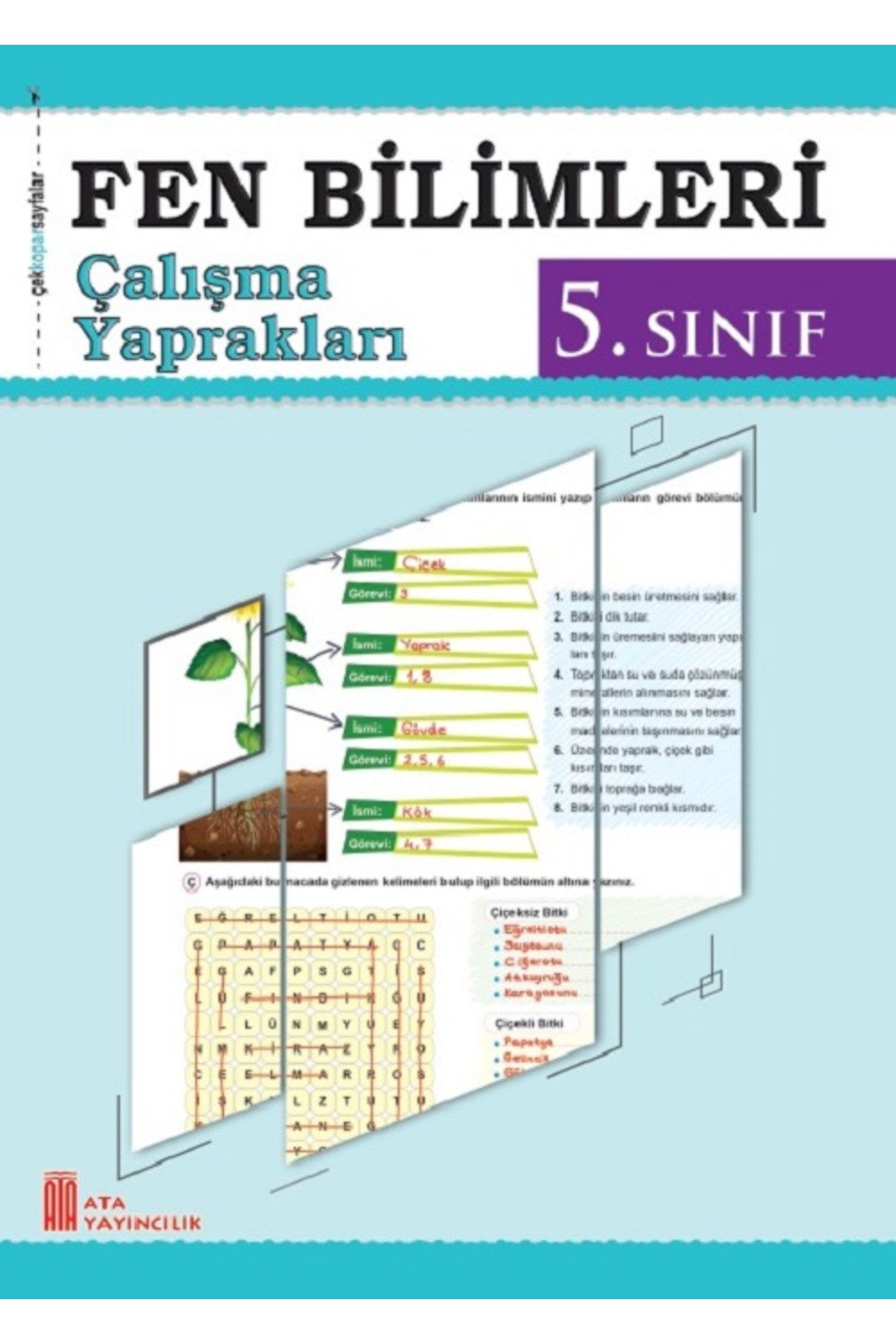 5. Sınıf Fen Bilimleri Çalışma Yaprakları kitap kapağı
