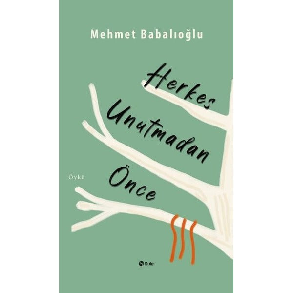 Herkes Unutmadan Önce | Şule Yayınları (İnce Kapak)