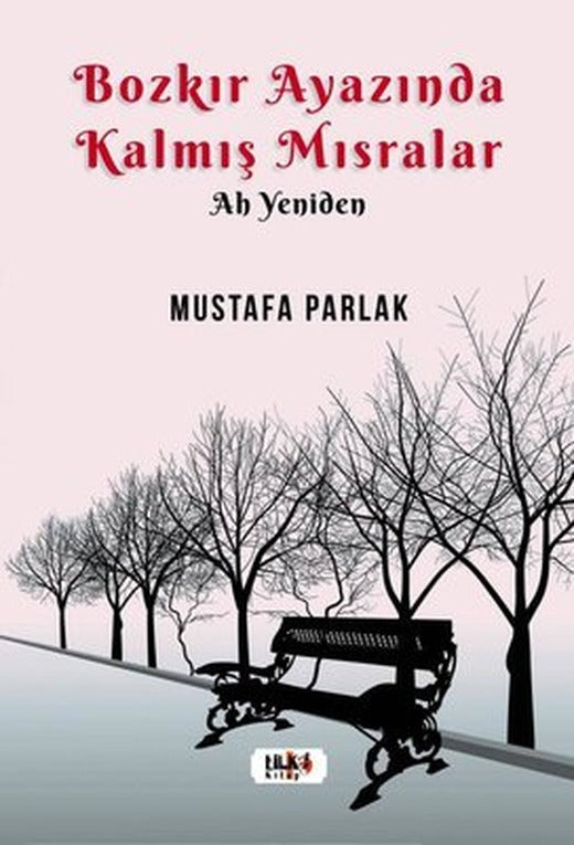 Bozkır Ayazında Kalmış Mısralar | Tilki Yayınları