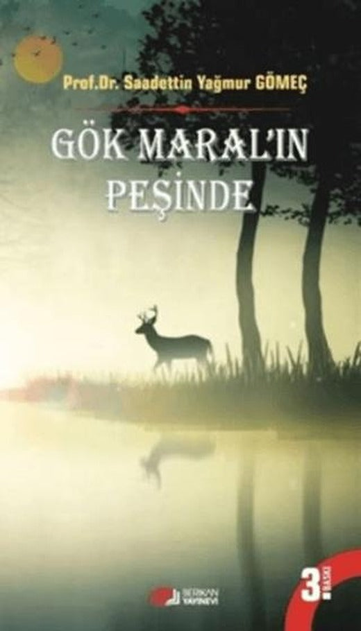 Gök Maral'ın Peşinde | Berikan Yayınevi (Ciltsiz)