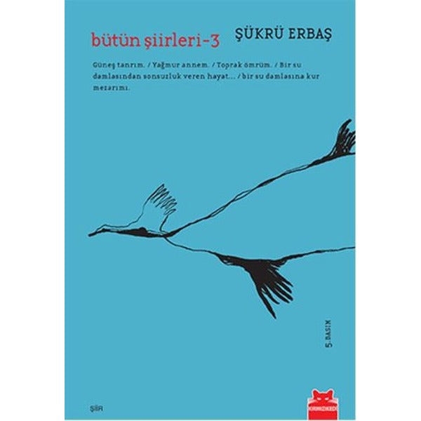 Bütün Şiirleri 3 | Kırmızı Kedi