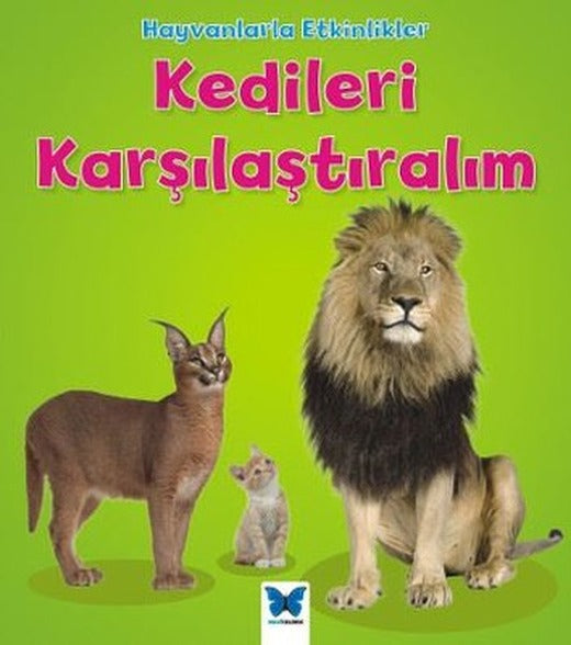 Kedileri Karşılaştıralım-Hayvanlarla Etkinlikler | Mavi Kelebek
