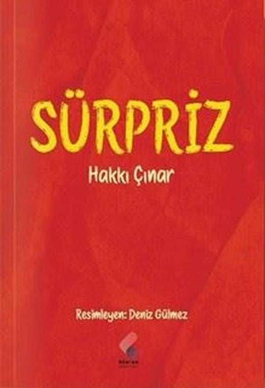 Sürpriz | Hakkı Çınar (İnce Kapak)