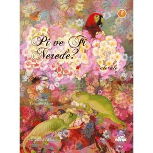 Pi ve Fi Nerede?