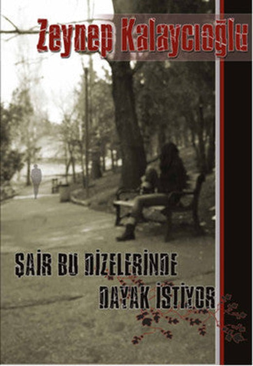 Şair Bu Dizelerinde Dayak İstiyor | İkinci Adam Yayınları