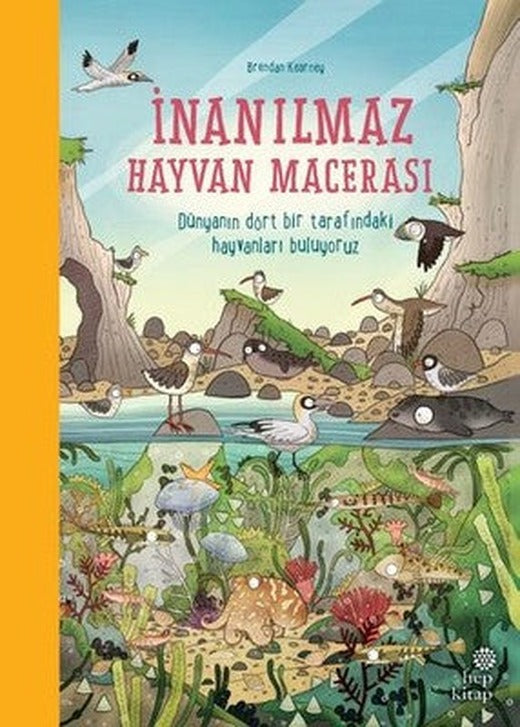 İnanılmaz Hayvan Macerası | Hep Kitap